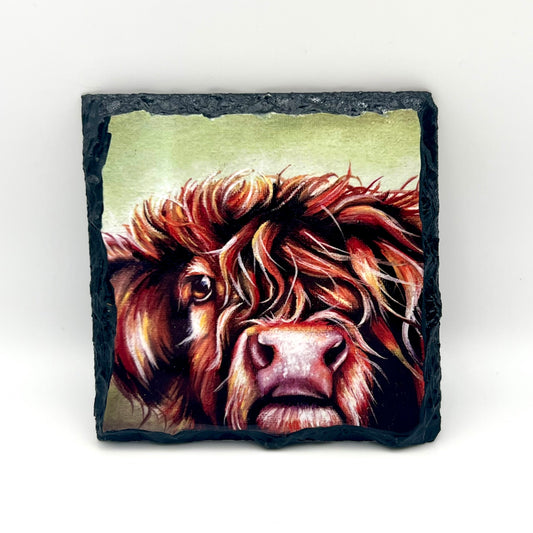 Highland Cow Coaster (Colour)