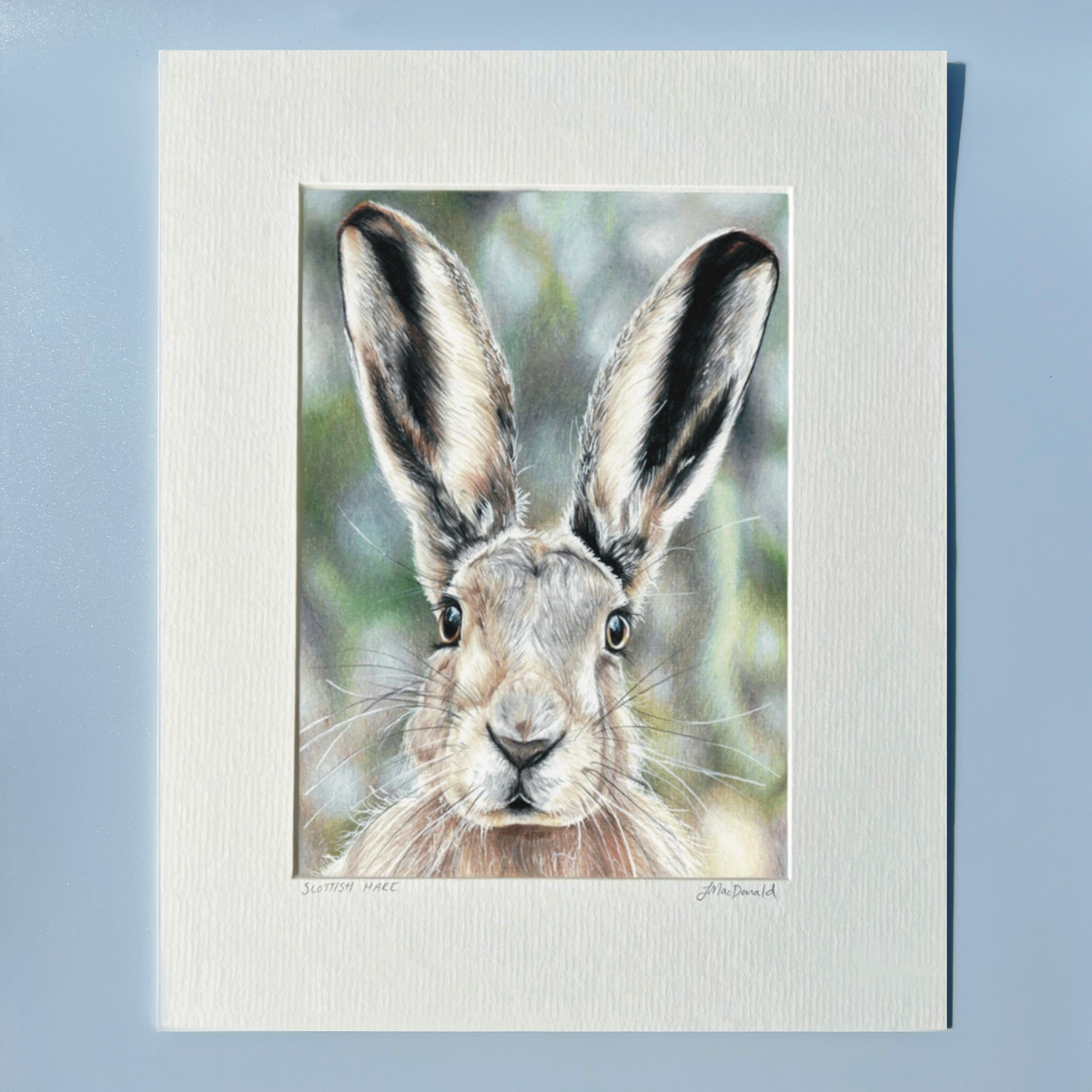 Scottish Hare Print