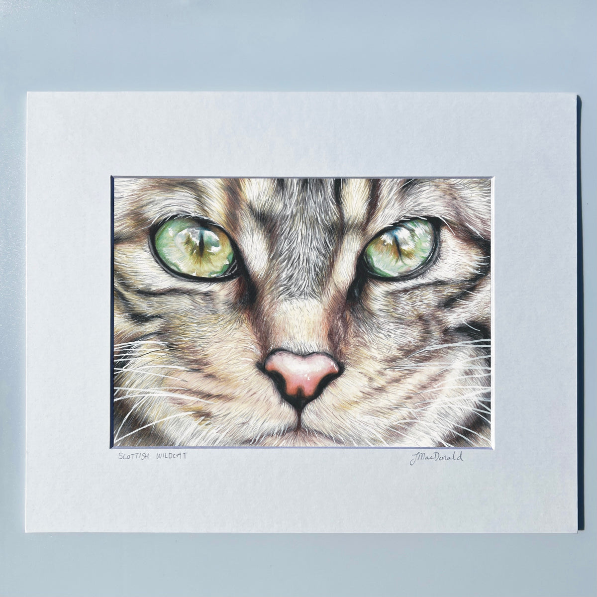 Scottish Wildcat Print