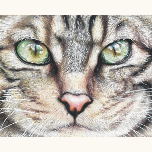 Scottish Wildcat Print