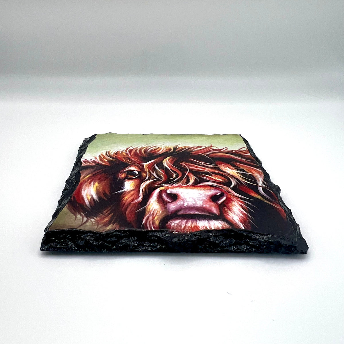 Highland Cow Coaster (Colour)