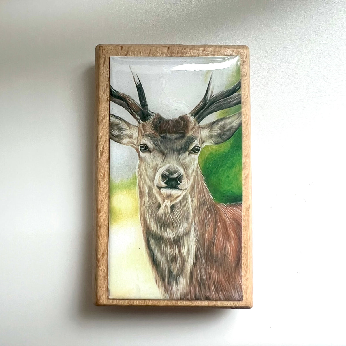 Stag Keyring/Magnet