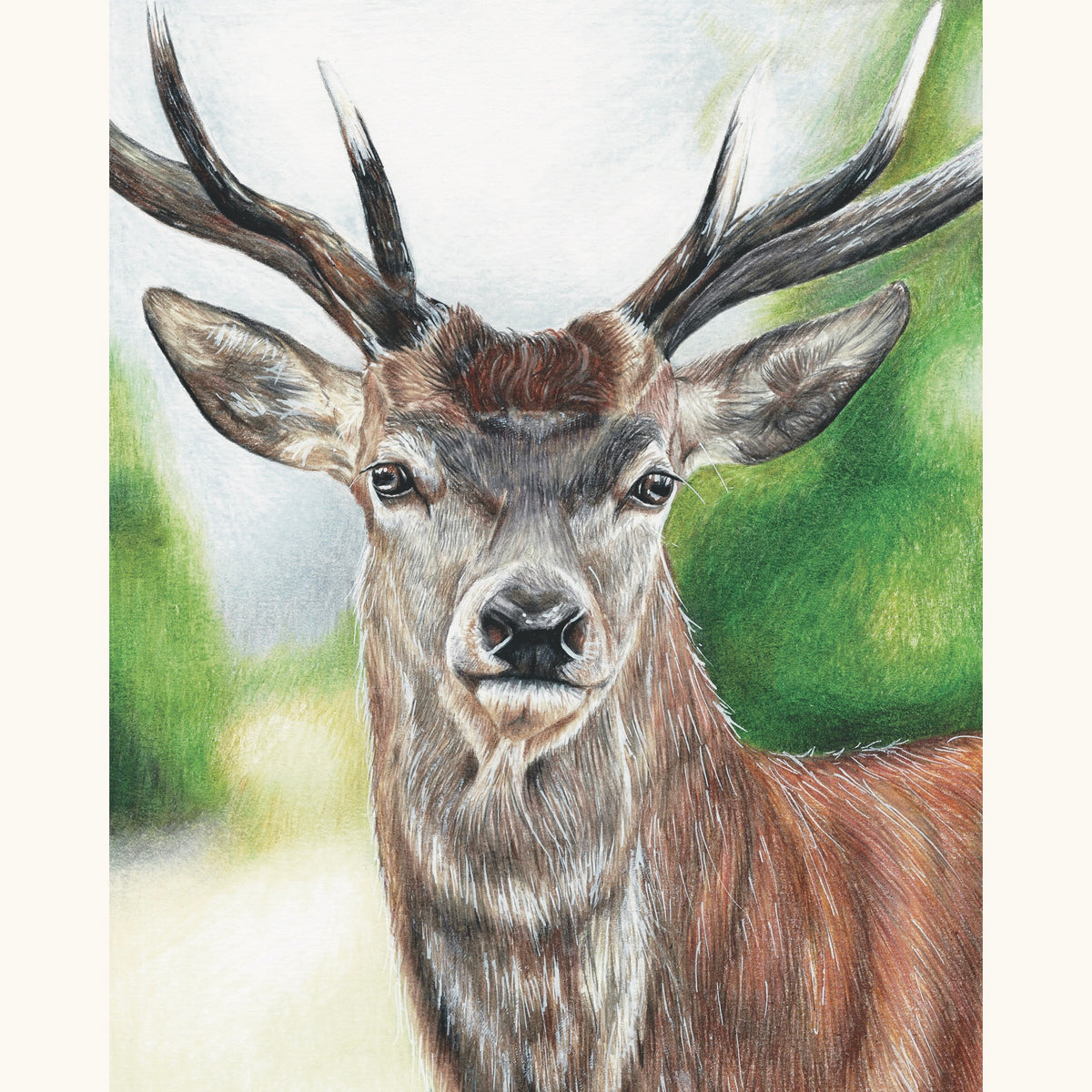 Scottish Stag Print