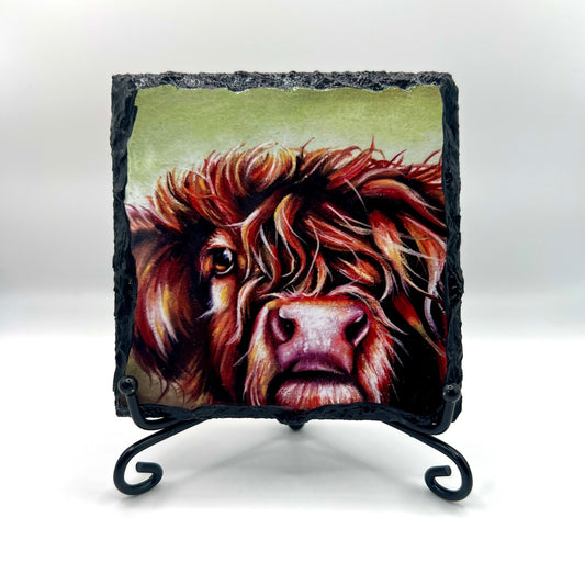 Highland Cow Coaster (Colour)