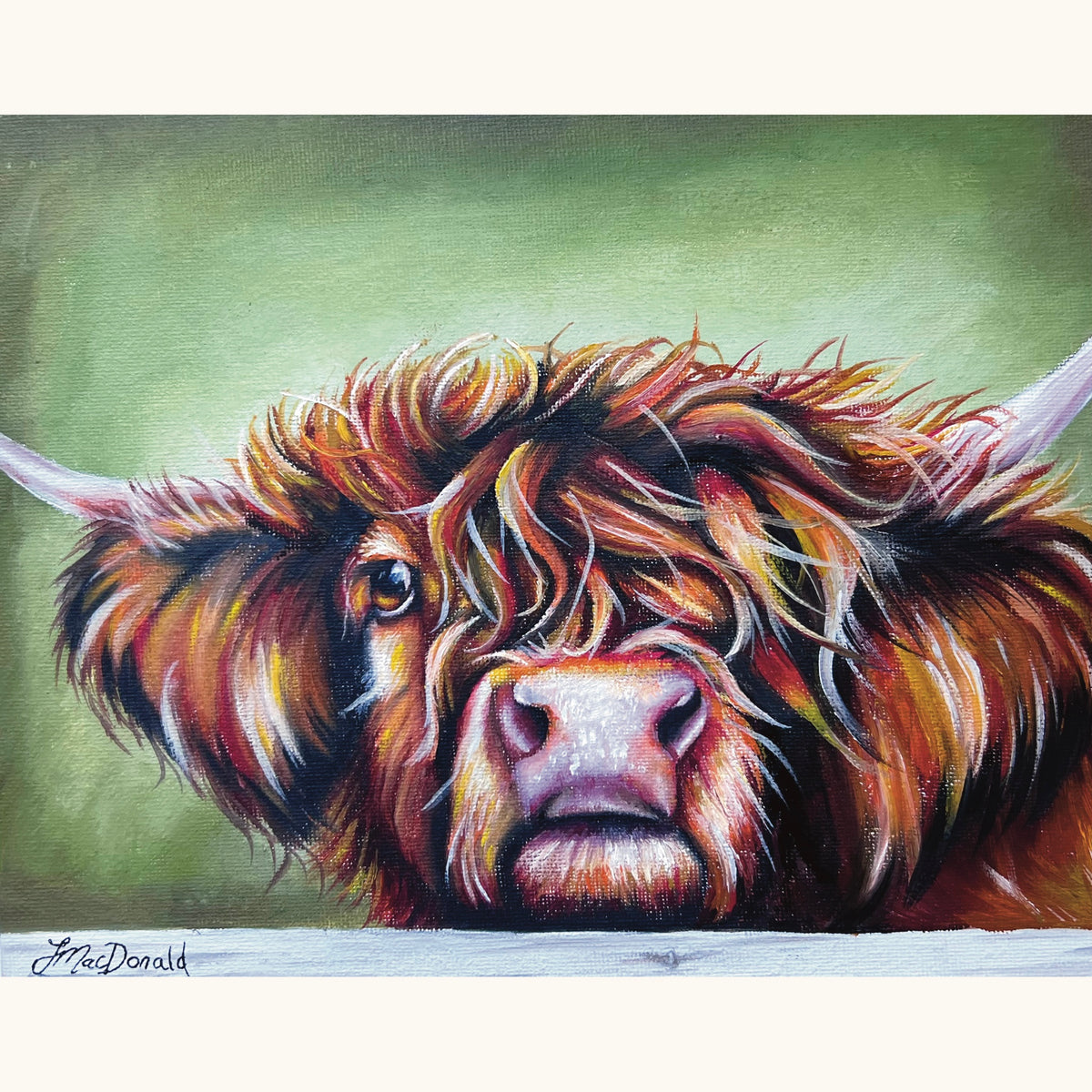 Highland Cow Coaster (Colour)