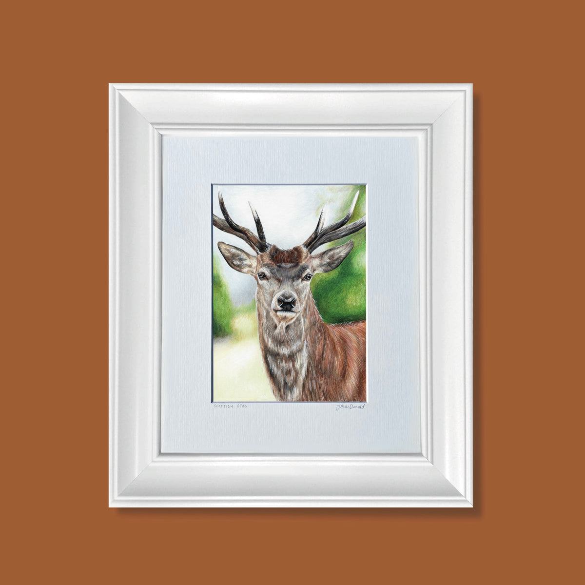 Scottish Stag Print